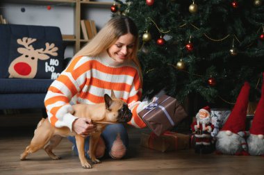 Sahibi olan küçük köpek oynuyor ve eğleniyor. Genç kız evcil hayvanıyla kanepede oturuyor. Arka planda Noel ağacı var. yumuşak seçici odak.
