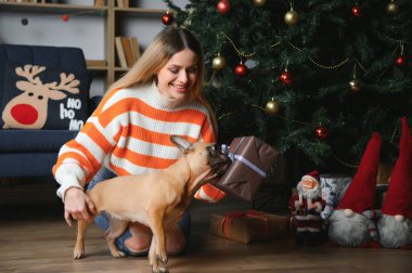 Güzel bir kadın eski bir kanepede köpekle oturuyor. Noel ağacının arka planında dekore edilmiş bir odada. Mutlu yıllar..