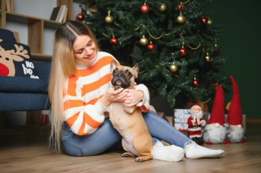 Güzel bir kadın eski bir kanepede köpekle oturuyor. Noel ağacının arka planında dekore edilmiş bir odada. Mutlu yıllar..
