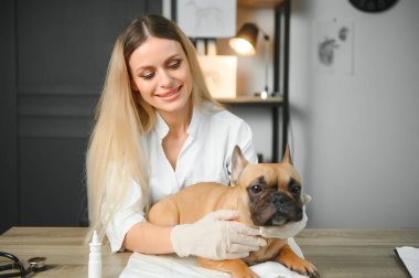 Mutlu veteriner doktor veteriner kliniğinde köpek yavrusuna sarılıyor. Metin için boş boşluk