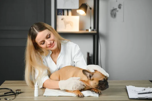 Happy veterinarian doctor hugs puppy in vet clinic. Empty space for text