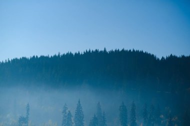 Mountain range with visible silhouettes through the morning blue fog clipart