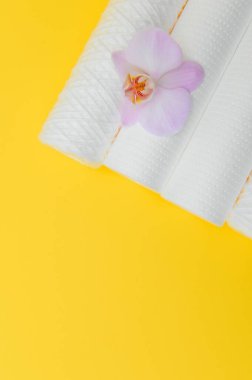 Sarı arka planda su arıtma için fişekler. Evde temiz su kavramı.