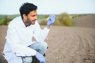 Toprak testi. Kızılderili Agronomist bahçedeki kürekle toprağı dışarıda toprak numune torbasına koyuyor. Çevre araştırması.