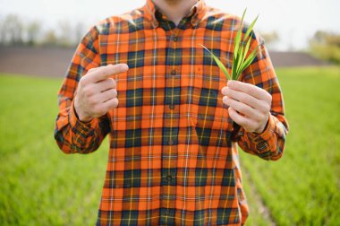 Tarlada dikilen çiftçinin portresi