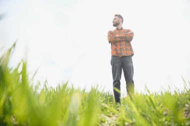 Tarlada dikilen çiftçinin portresi