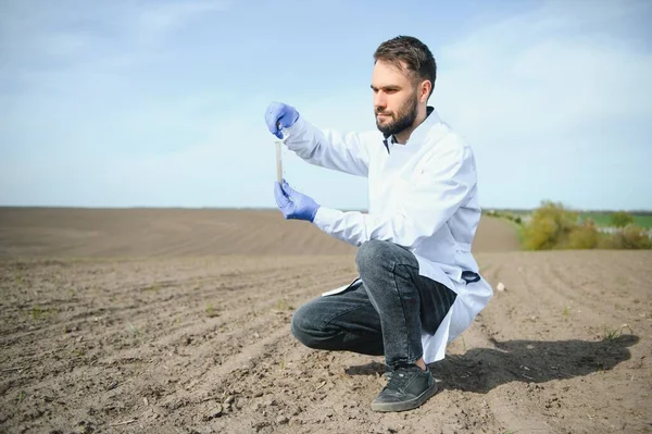 Agronomist studying samples of soil in field.