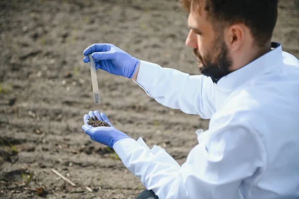 Soil Testing. Agronomy Specialist taking soil sample for fertility analysis. Hands in gloves close up. Environmental protection, organic soil certification, field work, research