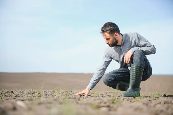Mężczyzna Dotyka Ziemi Polu Ekspercka Ręka Rolnika Sprawdzająca Stan Gleby — Zdjęcie stockowe