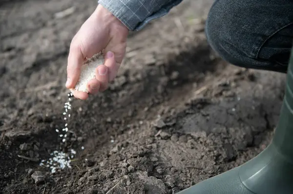 土に種を植え付ける農民の手 — ストック写真