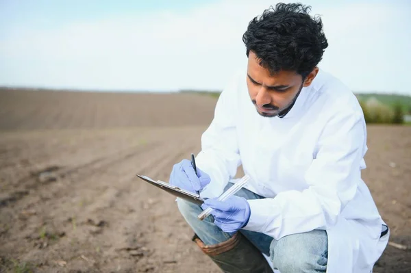 Test Půdy Indický Agronomista Dává Půdu Zahradní Lopatou Pytle Vzorky — Stock fotografie