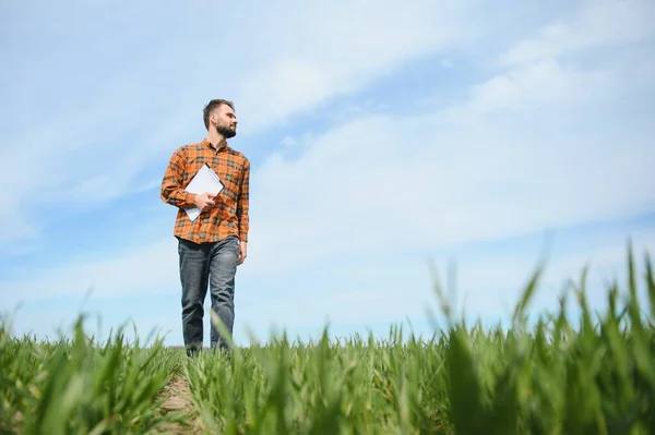 stock image Portrait of farmer standing in field