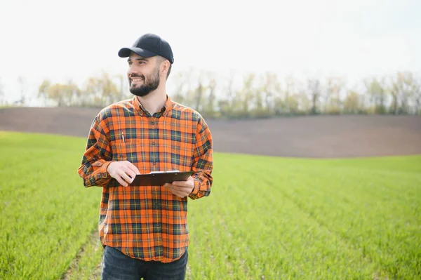 Ένας Νεαρός Αγρότης Επιθεωρεί Την Ποιότητα Των Φύτρων Σιταριού Στον — Φωτογραφία Αρχείου