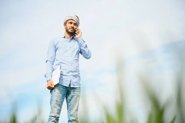 Retrato Jovem Agricultor Indiano Feliz Terra Agricultura Surround Crop Holding — Fotografia de Stock
