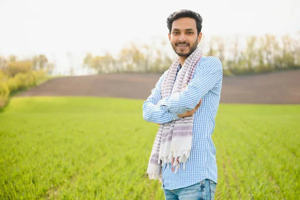 Porträtt Ung Indisk Bonde Bär Formell Klänning Grön Paddyfält — Stockfoto