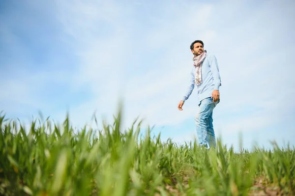 stock image worry less ,indian farmer standing in his healthy wheat field.