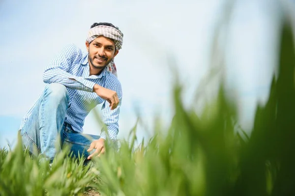 Egy Fiatal Indiai Farmer Portréja Aki Hivatalos Ruhát Visel Zöld — Stock Fotó