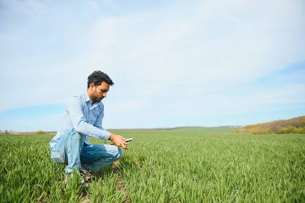 Indický Zemědělec Zemědělském Poli — Stock fotografie