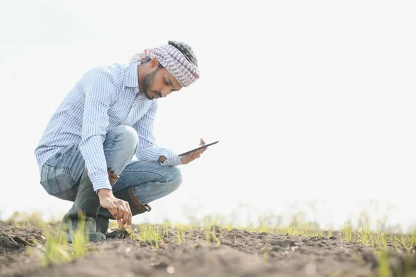 若いインドの農家は播種前に畑を検査する — ストック写真