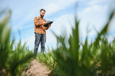 Tarlada dikilen çiftçinin portresi