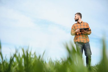 Tarlada dikilen çiftçinin portresi