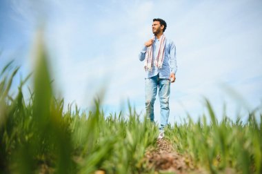 Daha az endişelenen Hintli çiftçi sağlıklı buğday tarlasında duruyor..