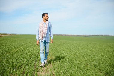 Daha az endişelenen Hintli çiftçi sağlıklı buğday tarlasında duruyor..