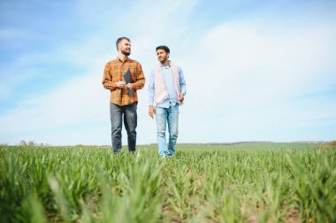 Tarla tarlasında duran iki Hintli çiftçi. Tarım kavramı.