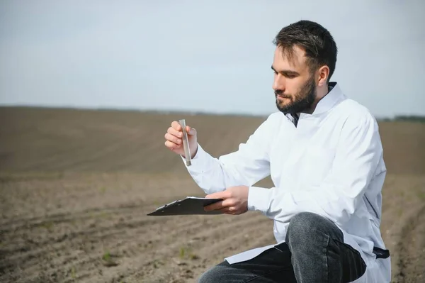 Bodenproben Agrarwissenschaftler Entnimmt Bodenprobe Zur Fruchtbarkeitsanalyse Hände Handschuhen Aus Nächster — Stockfoto