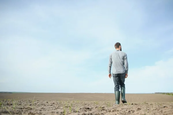 Farmer Boots Works Field Sown Spring Agronomist Walks Earth Assessing — Stock Photo, Image