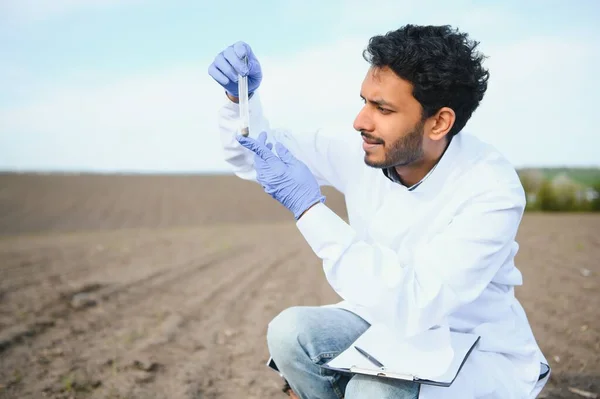 Soil Testing. Indian Agronomy Specialist taking soil sample for fertility analysis. Hands in gloves close up. Environmental protection, organic soil certification, field work, research.