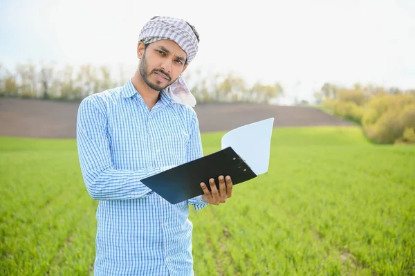 Sorgenfrei Steht Ein Indischer Bauer Seinem Gesunden Weizenfeld — Stockfoto