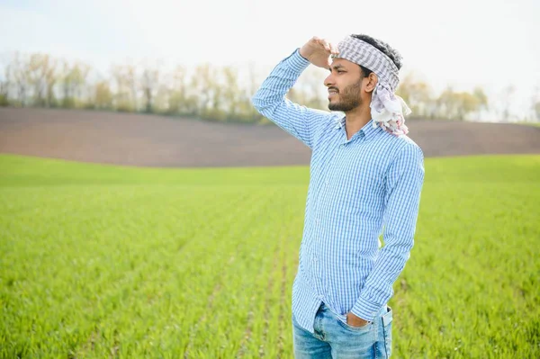 stock image worry less ,indian farmer standing in his healthy wheat field.