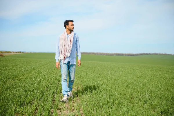 Daha az endişelenen Hintli çiftçi sağlıklı buğday tarlasında duruyor..
