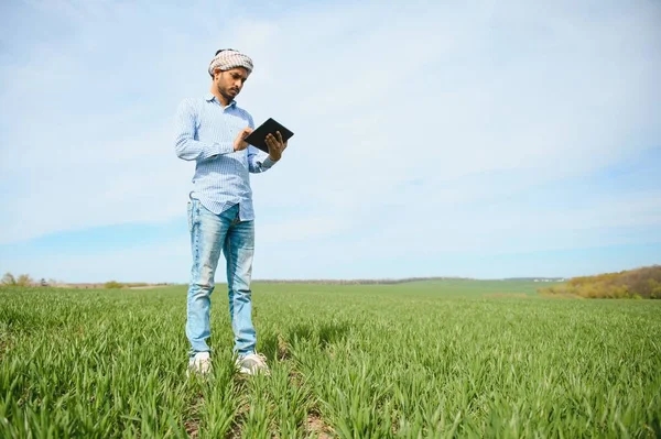 小麦畑に立つ農家の肖像画 農家は緑の小麦畑に立って作物を調べ — ストック写真