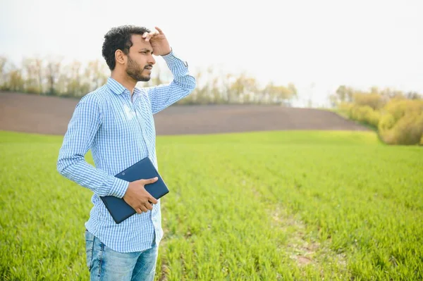 Moins Inquiétude Agriculteur Indien Debout Dans Son Champ Blé Bonne — Photo