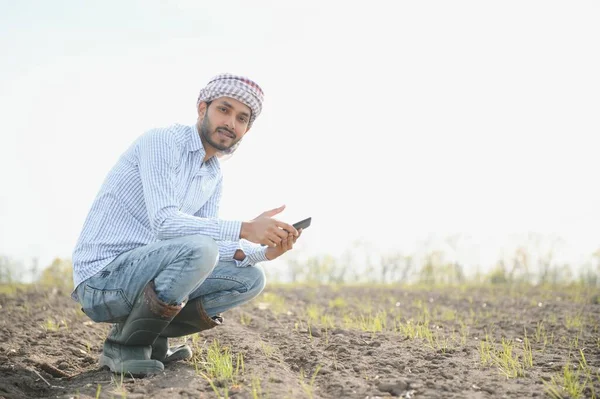 Mladý Indiánský Farmář Stojící Poli Zeleného Kurkumového Zemědělství — Stock fotografie