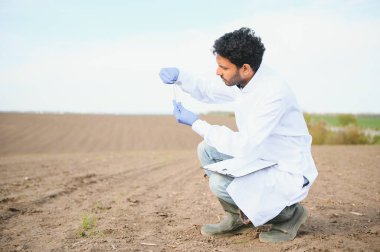 Toprak testi. Kızılderili Agronomist bahçedeki kürekle toprağı dışarıda toprak numune torbasına koyuyor. Çevre araştırması.