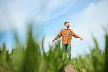 Tarlada dikilen çiftçinin portresi