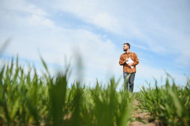 Tarlada dikilen çiftçinin portresi