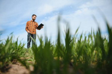 Tarlada dikilen çiftçinin portresi