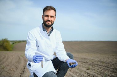 Profesyonel cam taşıyıcısı olan laboratuvar çalışanı tarladaki hasattan sonra kara toprağı test ediyor..