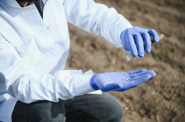 Profesyonel cam taşıyıcısı olan laboratuvar çalışanı tarladaki hasattan sonra kara toprağı test ediyor..