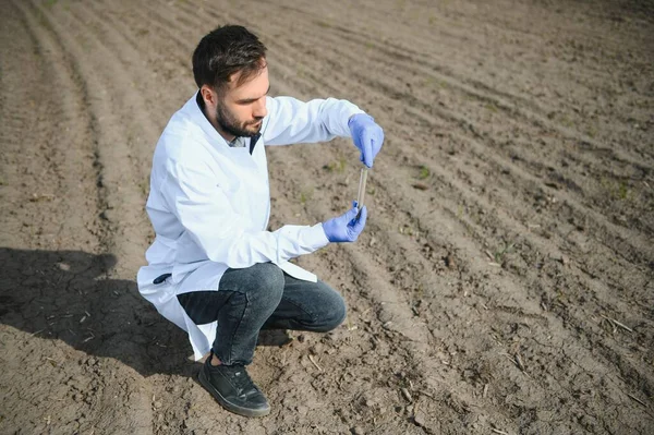 Testy Gleby Specjalista Agronomii Pobiera Próbki Gleby Analizy Płodności Ręce — Zdjęcie stockowe