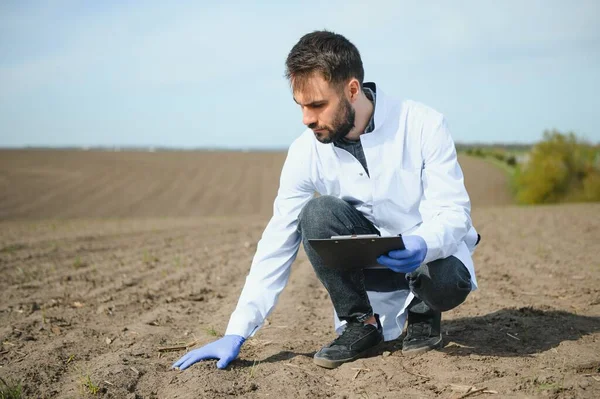 Testování Půdy Specialista Agronomii Odebírá Vzorky Půdy Pro Analýzu Plodnosti — Stock fotografie