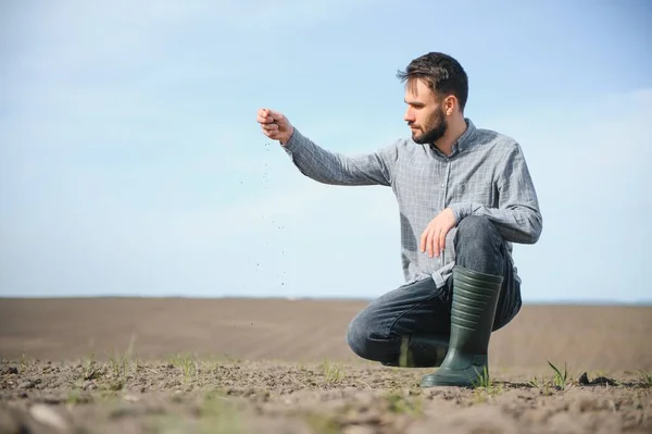 Rolnik Butach Pracuje Polu Zasianym Wiosną Agronom Chodzi Ziemi Oceniając — Zdjęcie stockowe