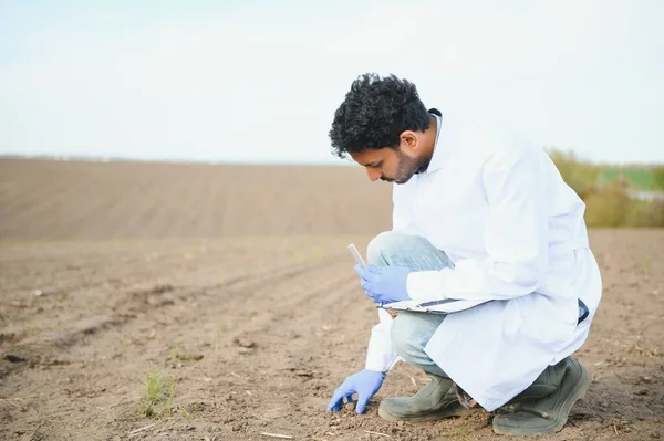 Testy Gleby Indyjski Specjalista Agronomii Pobiera Próbki Gleby Analizy Płodności — Zdjęcie stockowe