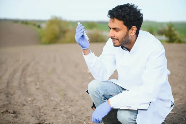 Soil Testing. Indian Agronomy Specialist taking soil sample for fertility analysis. Hands in gloves close up. Environmental protection, organic soil certification, field work, research.