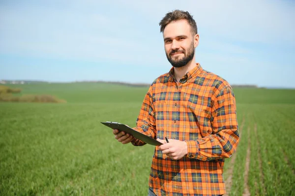 Buğday Tarlasında Çiftçi Portresi Tarlada Yakışıklı Bir Çiftçi Tarımcı Çalışıyor — Stok fotoğraf