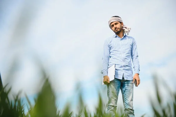Worry Less Indian Farmer Standing His Healthy Wheat Field — Stock Photo, Image